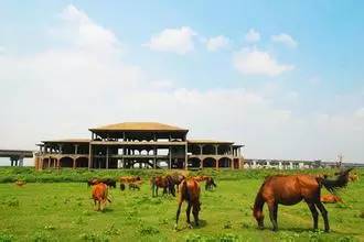 长沙的秋天去哪了,长沙秋天合适去的地方