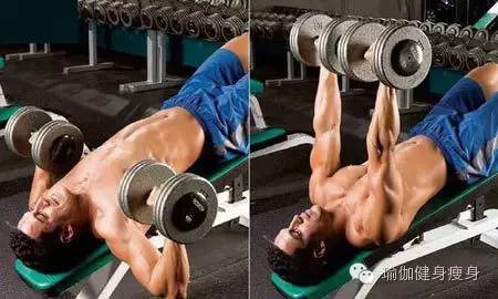 俯卧撑跟哑铃哪个锻炼胸肌好点,哑铃锻炼胸肌动作图解视频