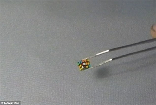 世界上最强壮的健美运动先生,世上最小健美先生