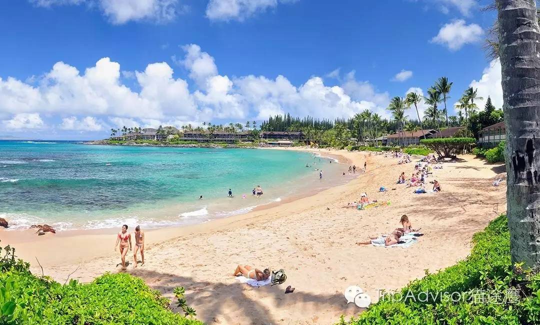 一次完美旅行需要掌握的几个要点,让旅行更完美的生活小妙招