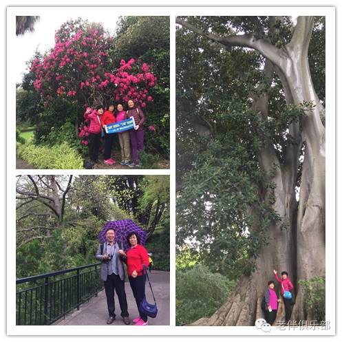 老伴一日游最佳路线,老伴旅居