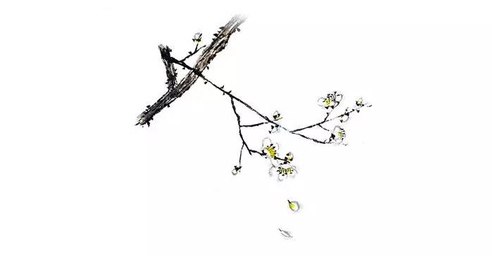 写在竹简上的诗经,诗经中的绝美句子纸质书