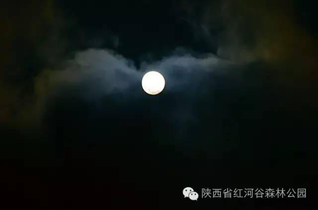 9月去红河怎么玩,国庆节云南红河合适去哪旅游