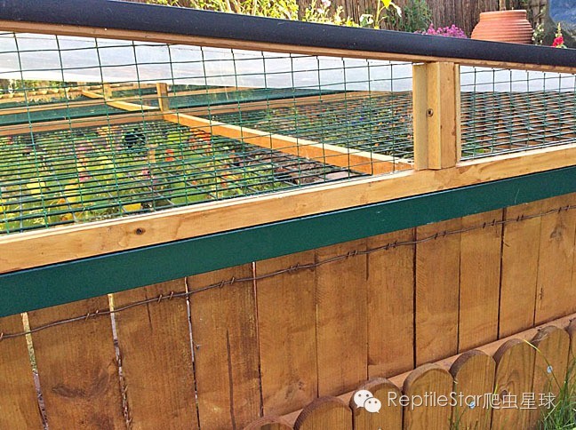 ReptileStar爬虫星球