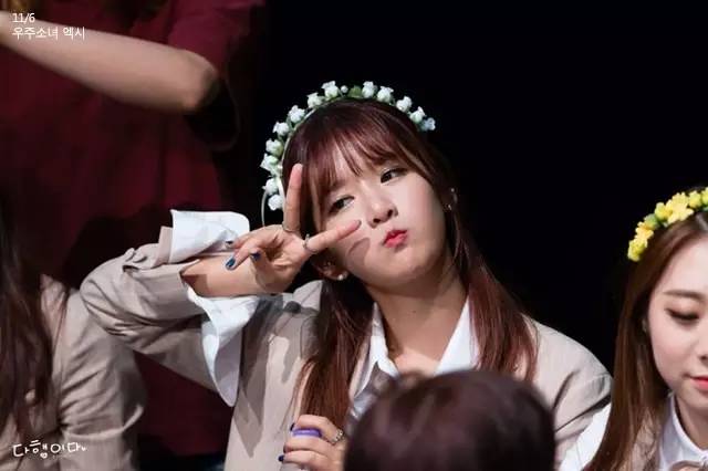 爱豆应援清单,爱豆们的应援是真的吗