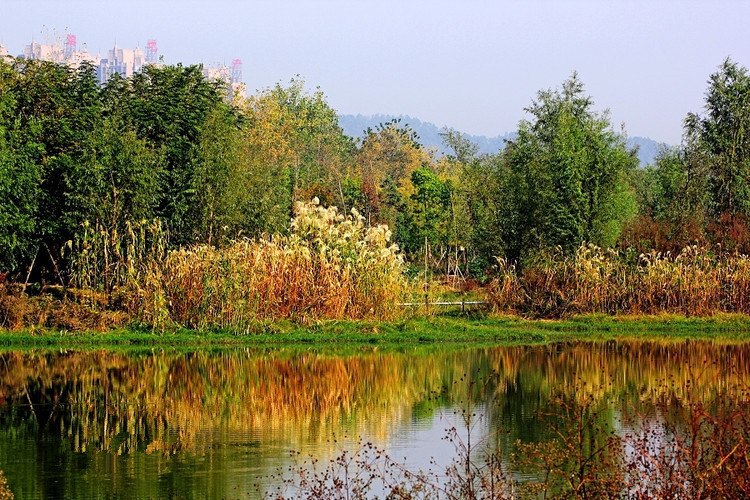 长沙的秋天去哪了,长沙秋天合适去的地方