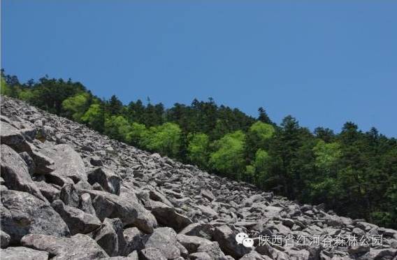 9月去红河怎么玩,国庆节云南红河合适去哪旅游