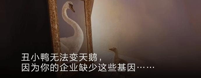 全球28家店，创收15亿软妹币，这家超市餐厅是怎么做到的？