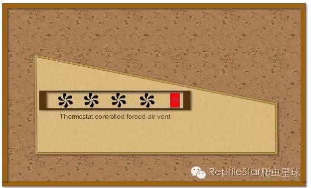 ReptileStar爬虫星球
