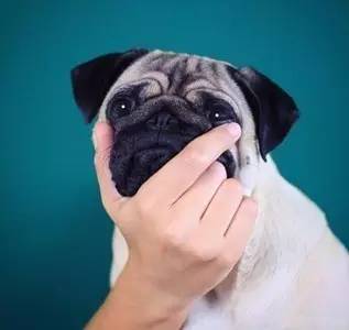 希望光棍节前大家脱单,撩人情话100个土味情话套路