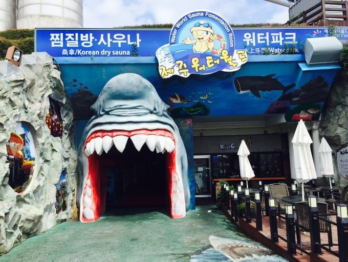 济州岛沉浸式体验,济州岛体验韩妆