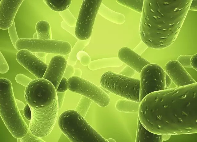 叶绿素焕肤红蓝光,叶绿素能够美容养颜