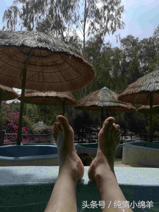 从南走到北有滋有味,从南到北有趣的灵魂