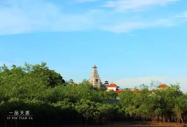 最美集美中学,集美中学长什么样