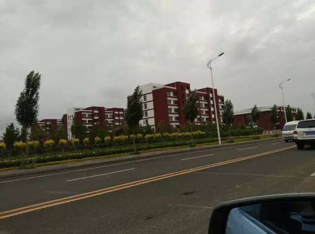 自驾川西带金毛,长途自驾带金毛