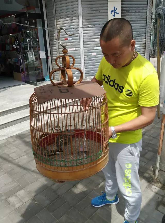 自驾川西带金毛,长途自驾带金毛