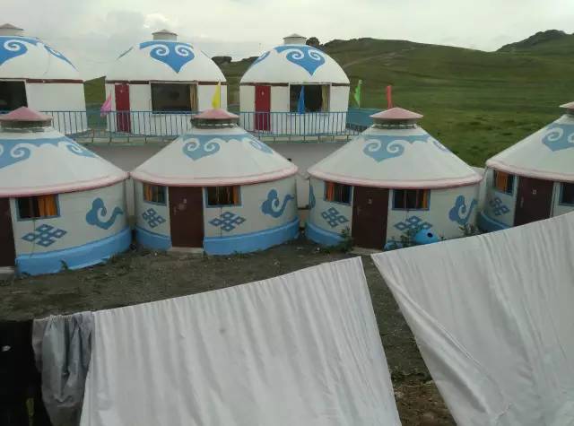 自驾川西带金毛,长途自驾带金毛