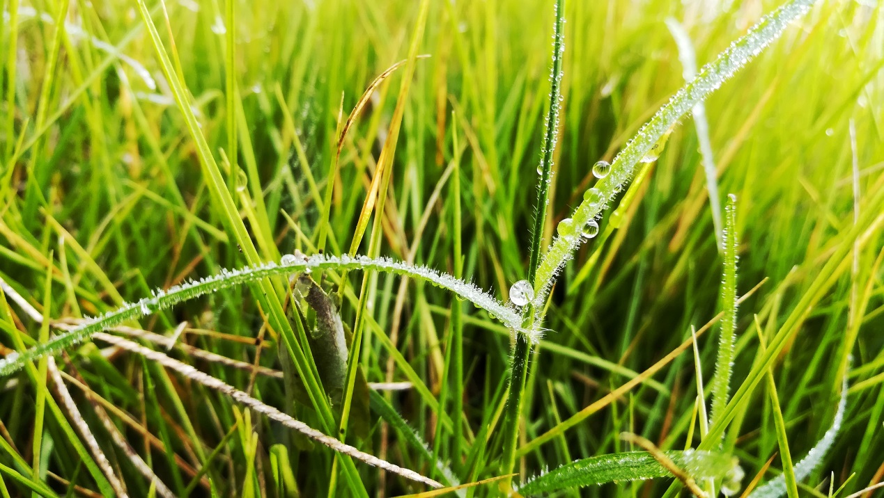 千元机中荣耀畅玩系列有好用的吗,千元旗舰手机荣耀畅玩7x