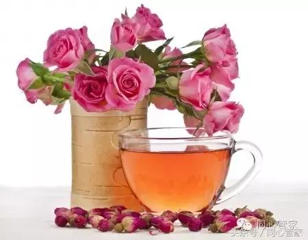 绞股蓝和什么茶一起泡水调理三高,三高调理茶的功能与功效是什么