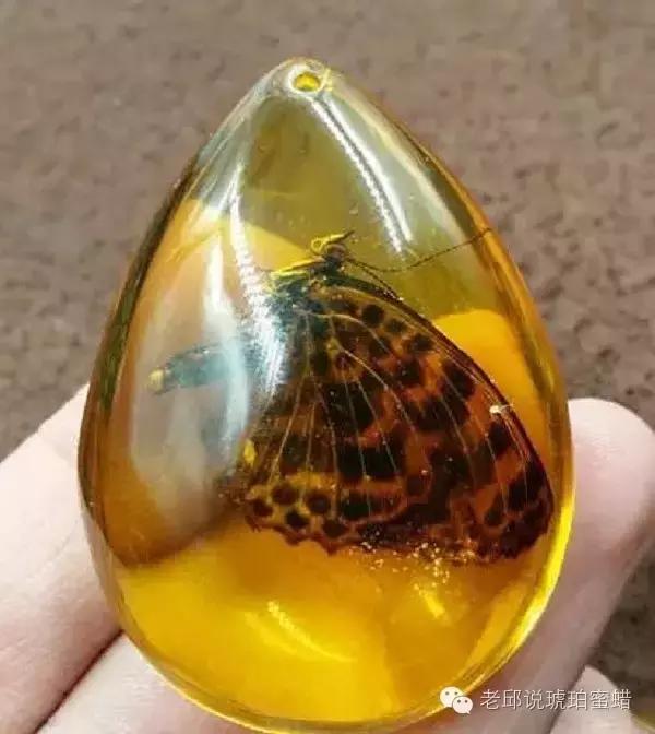 鎭掑疄鑰侀偙,鎭掑疄鐞ョ弨鑰侀偙鐩存挱