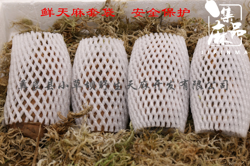 新鲜天麻如何储存,刚挖的天麻怎样储存