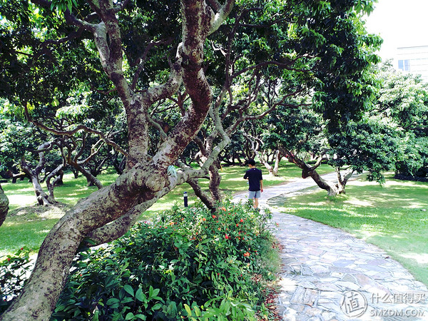 小米Es55和s55的区别,小米55系列评测