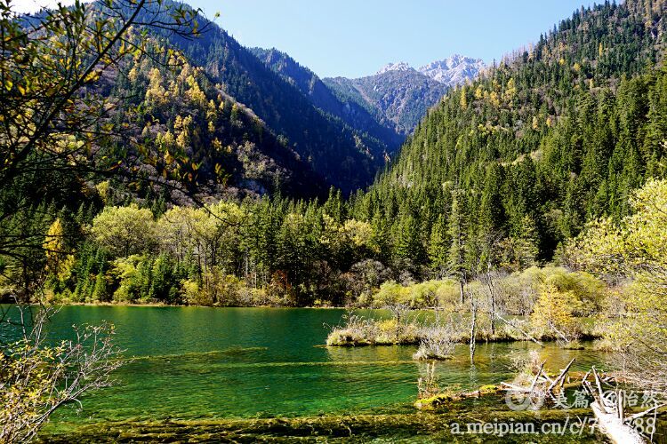 九寨沟让人失语的美丽童话世界,九寨沟有没有童话世界的景点