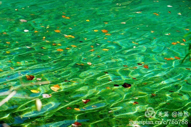 九寨沟让人失语的美丽童话世界,九寨沟有没有童话世界的景点