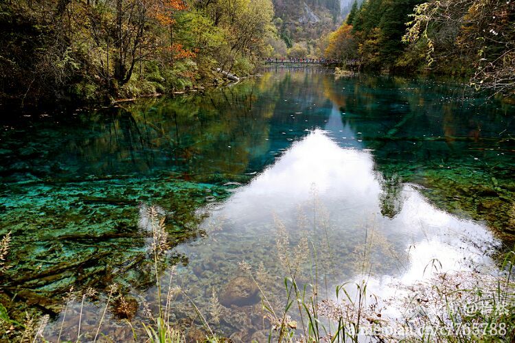 九寨沟让人失语的美丽童话世界,九寨沟有没有童话世界的景点