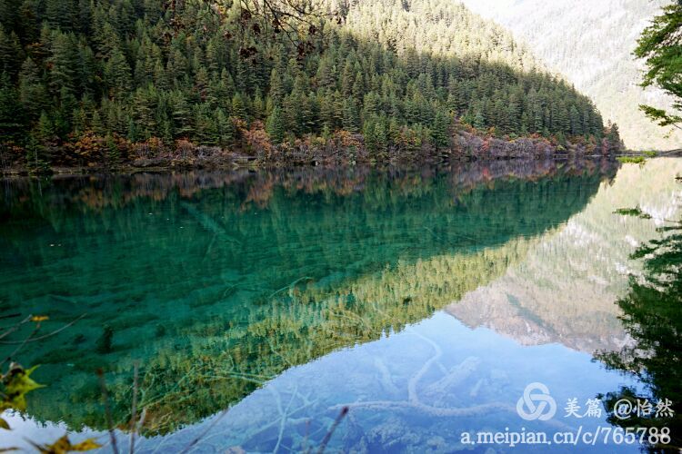 九寨沟让人失语的美丽童话世界,九寨沟有没有童话世界的景点