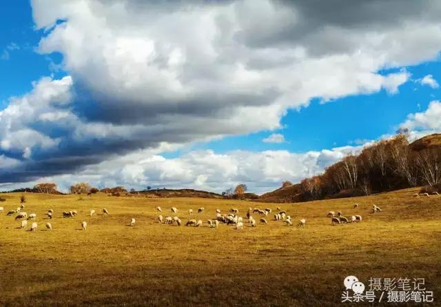 10月摄影笔记照片点评合集