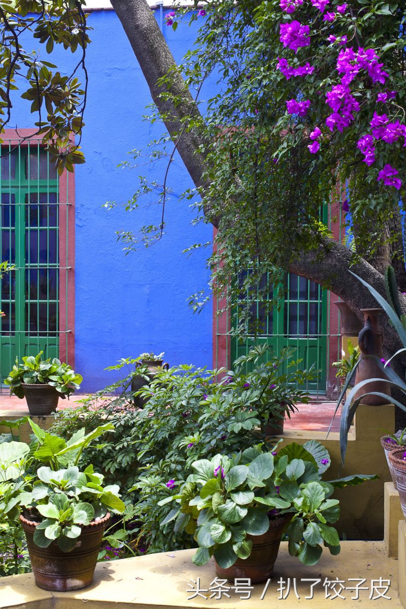 5个最值得去的旅行地,奥运会去旅游