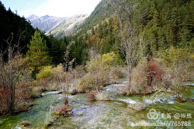 九寨沟让人失语的美丽童话世界,九寨沟有没有童话世界的景点