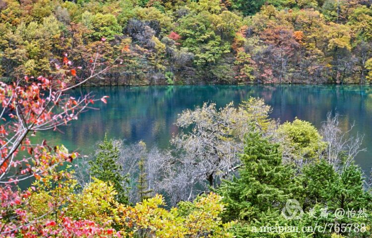 九寨沟让人失语的美丽童话世界,九寨沟有没有童话世界的景点