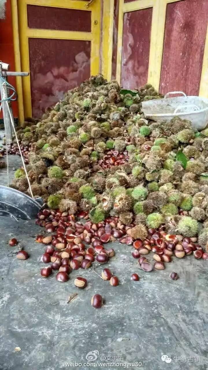 牛街自述，看完再也不嫌弃你了~~~