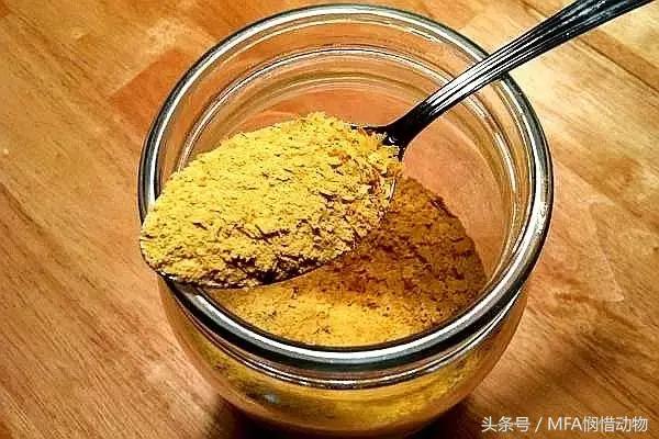 酵母的营养价值及功效与功能,营养酵母是啥