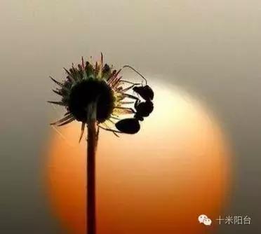 timeofourlife钢琴谱,timeofourlife合唱