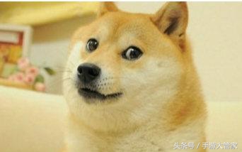 王者荣耀到达荣耀段位不打会掉星,王者荣耀排位胜利不加星反掉