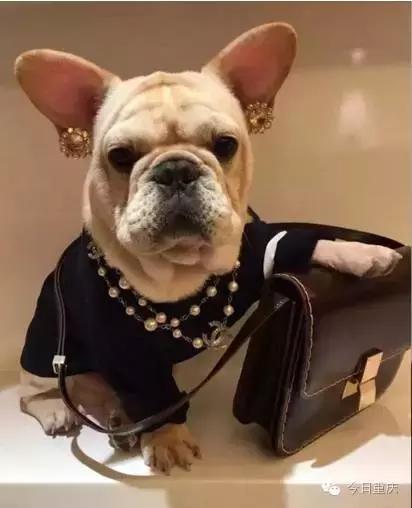 重庆周末耍事推荐,重庆主城耍事推荐