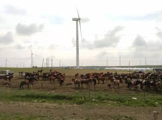 自驾川西带金毛,长途自驾带金毛