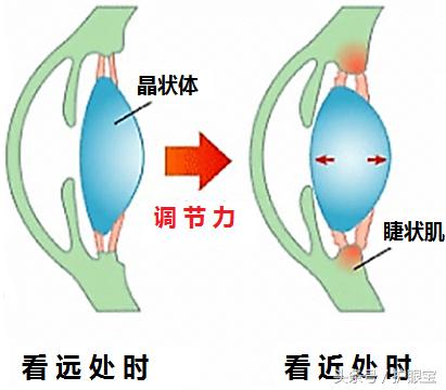眼科行家推荐最强护眼壁纸，还能防近视和疲劳