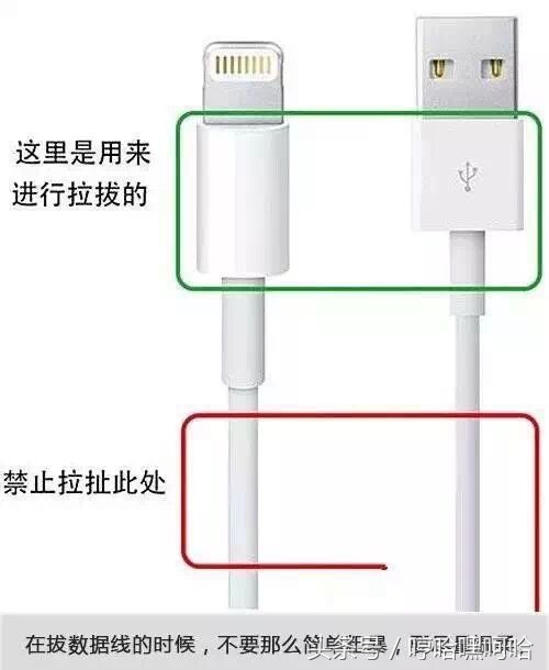 iphone数据线咬坏了能够换新的吗,ipadpro数据线坏了能换新吗