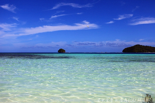 彩虹王国美术作品,彩虹王国紫色