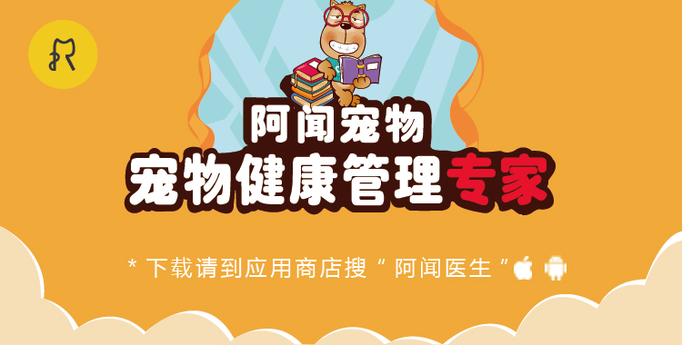 猫粮推荐最好的,2岁的猫咪合适吃什么猫粮