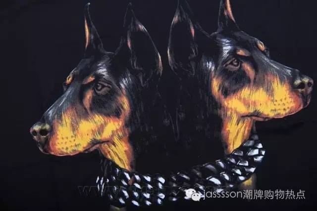 复合动物进化论,达尔文动物进化论看法