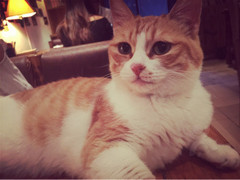 西安有没有浪漫的地方啊,西安合适情侣去的好去处