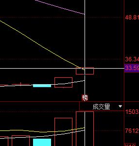 ‘她’股市话题王，一天狂揽4.8忆，范冰冰、赵薇等明星追捧
