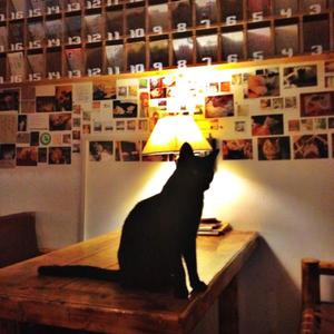 西安有没有浪漫的地方啊,西安合适情侣去的好去处