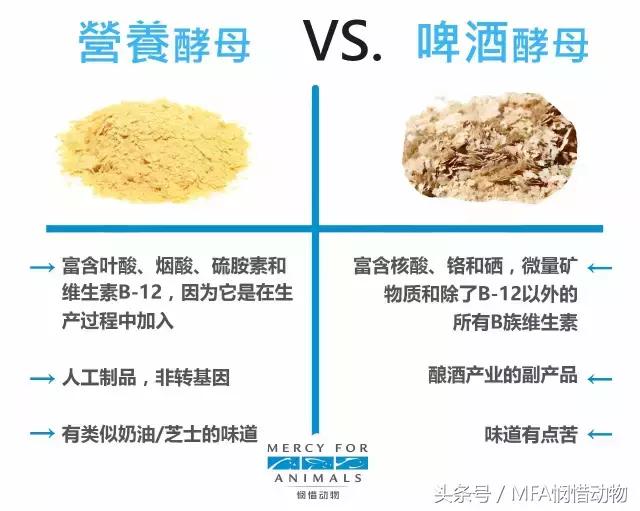 酵母的营养价值及功效与功能,营养酵母是啥