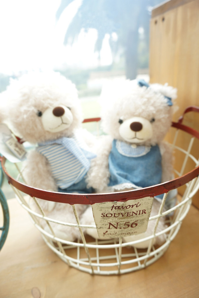 济州岛的浪漫之旅,济州岛6日游蜜月之岛